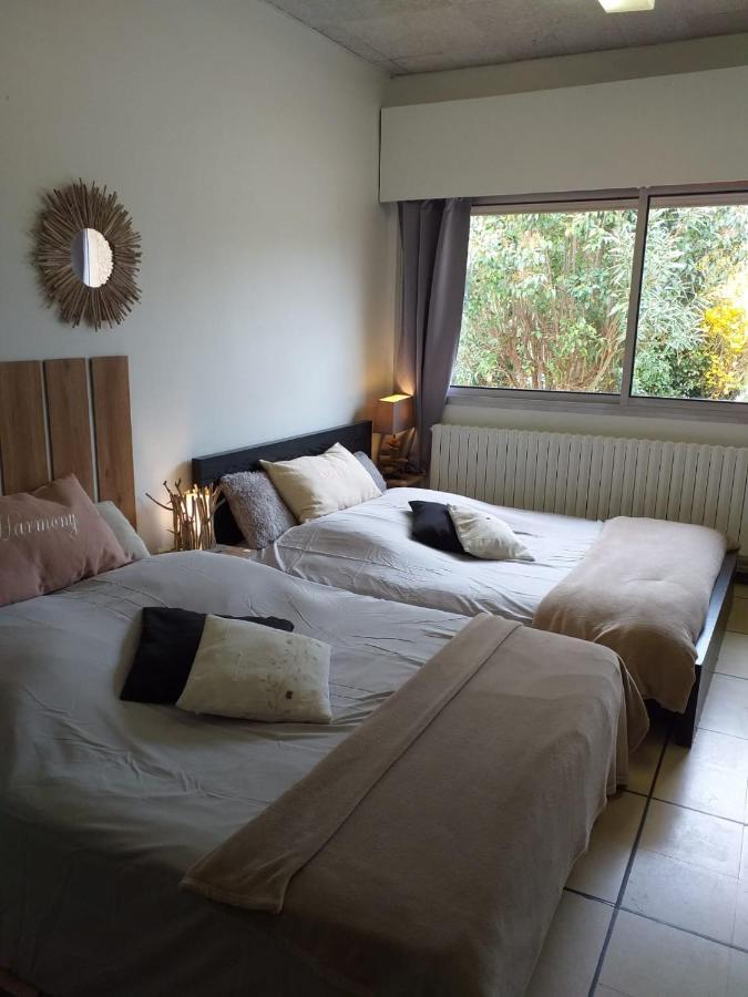 Bed and Breakfast Chez Naomi à Saint-Jean-de-Cornies Extérieur photo
